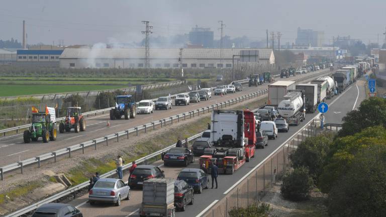 Unión olivarera en La Campiña para asegurar el futuro del sector