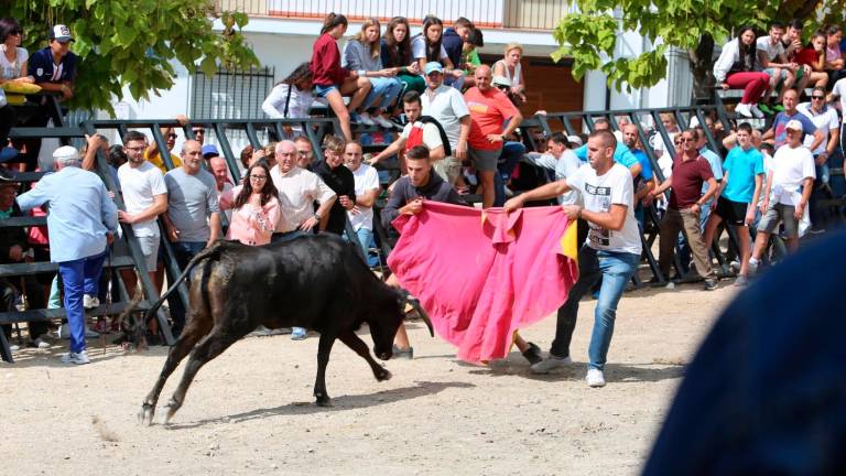 Jornadas taurinas y de feria Jornadas taurinas y de feria