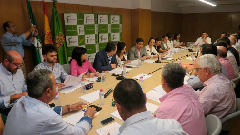 El Consejo Provincial del Aceite aprueba medidas para contribuir a elevar los precios El Consejo Provincial del Aceite aprueba medidas para contribuir a elevar los precios