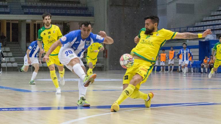 Aceite de Jaén y vino de Navarra en los octavos de la Copa del Rey de fútbol sala Aceite de Jaén y vino de Navarra en los octavos de la Copa del Rey de fútbol sala