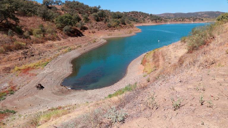 Ecologistas avisan sobre los pozos de sequía para paliar situaciones de emergencia: “Están contaminados” Ecologistas avisan sobre los pozos de sequía para paliar situaciones de emergencia: “Están contaminados”