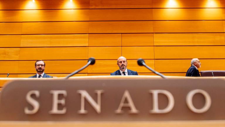 El Senado pide a la Comisión de Venecia su opinión sobre la ley de amnistía, solicitada por el PP El Senado pide a la Comisión de Venecia su opinión sobre la ley de amnistía, solicitada por el PP