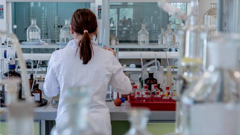 La Junta asigna 1,32 millones para contratar a jóvenes investigadores y técnicos en Jaén La Junta asigna 1,32 millones para contratar a jóvenes investigadores y técnicos en Jaén