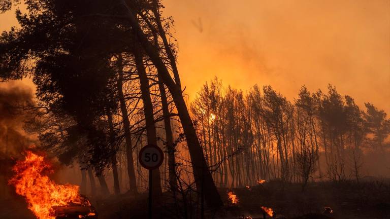 El incendio de Atenas se cobra su primera víctima mortal El incendio de Atenas se cobra su primera víctima mortal