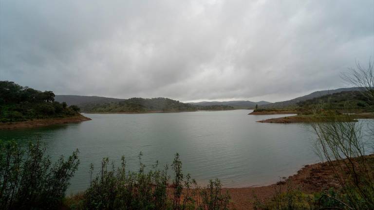 Los embalses andaluces ganan agua por sexta semana consecutiva y están al 24,4% de su capacidad Los embalses andaluces ganan agua por sexta semana consecutiva y están al 24,4% de su capacidad