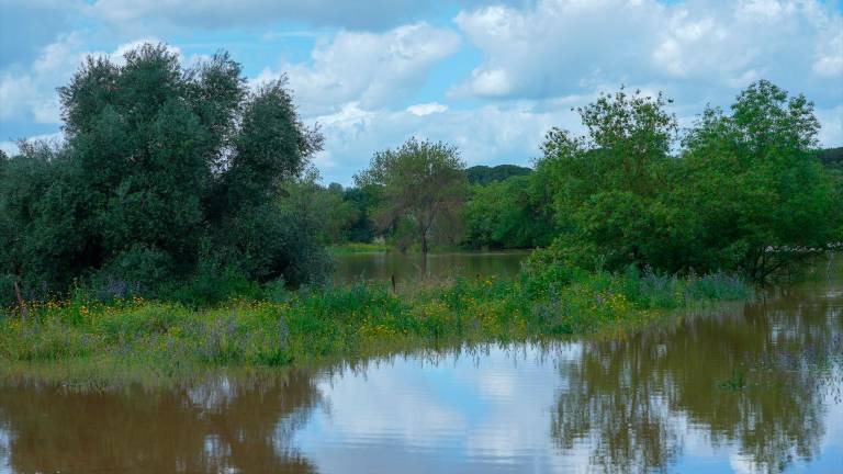 La Dehesa de Torneros tras las últimas lluvias caídas en Andalucía. / Francisco J. Olmo / Europa Press.