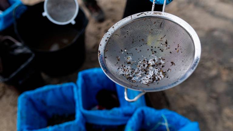 Las tareas de búsqueda de sacos de pélets en A Coruña finalizan sin resultados Las tareas de búsqueda de sacos de pélets en A Coruña finalizan sin resultados