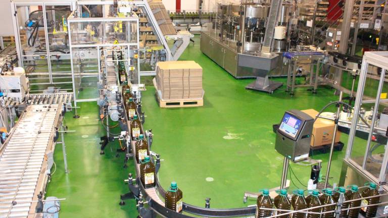 Un aceite picual de máxima calidad y de la tierra Un aceite picual de máxima calidad y de la tierra