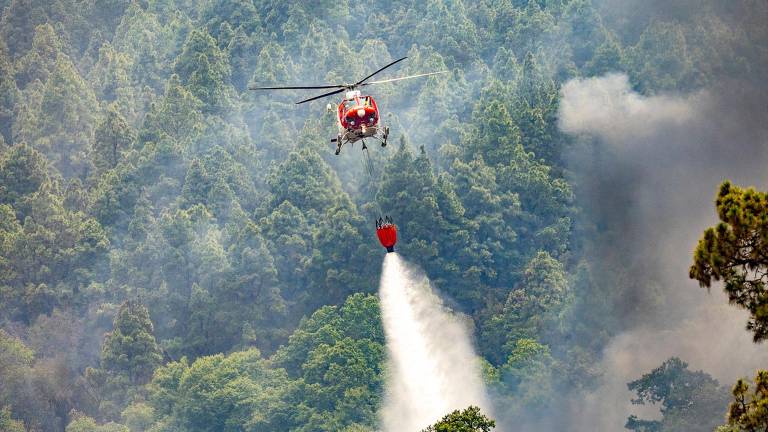 El fuego arrasa casi 15.000 hectáreas en Tenerife mientras se atrinchera en los altos de Güímar El fuego arrasa casi 15.000 hectáreas en Tenerife mientras se atrinchera en los altos de Güímar