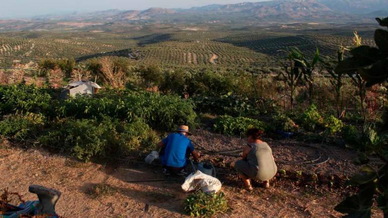 Trabajos para recuperar la cornisa sur de “Los Cerros” Trabajos para recuperar la cornisa sur de “Los Cerros”