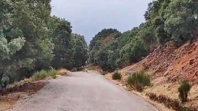 Más de 30 litros en la Sierra del Trigo, el último reducto virgen de Jaén Más de 30 litros en la Sierra del Trigo, el último reducto virgen de Jaén