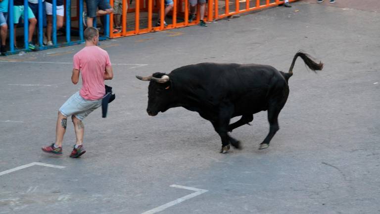 Muere un hombre tras sufrir una cogida en los “bous al carrer” de Picassent Muere un hombre tras sufrir una cogida en los “bous al carrer” de Picassent