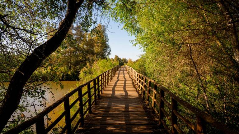 25 años del desastre de Aznalcóllar: El vertido que amenazó Doñana 25 años del desastre de Aznalcóllar: El vertido que amenazó Doñana