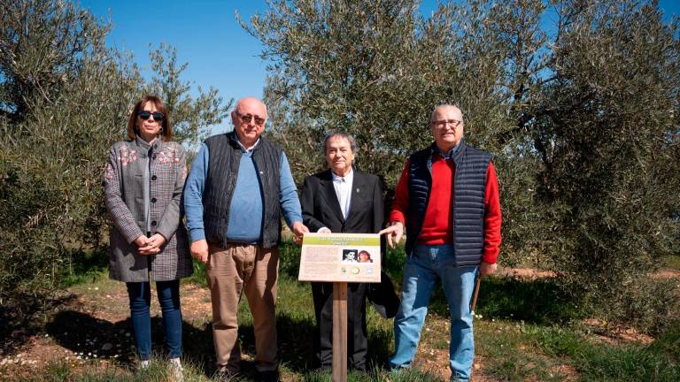 ‘El Pequeño Ruiseñor’ ya tiene su árbol centenario en Carboneros ‘El Pequeño Ruiseñor’ ya tiene su árbol centenario en Carboneros