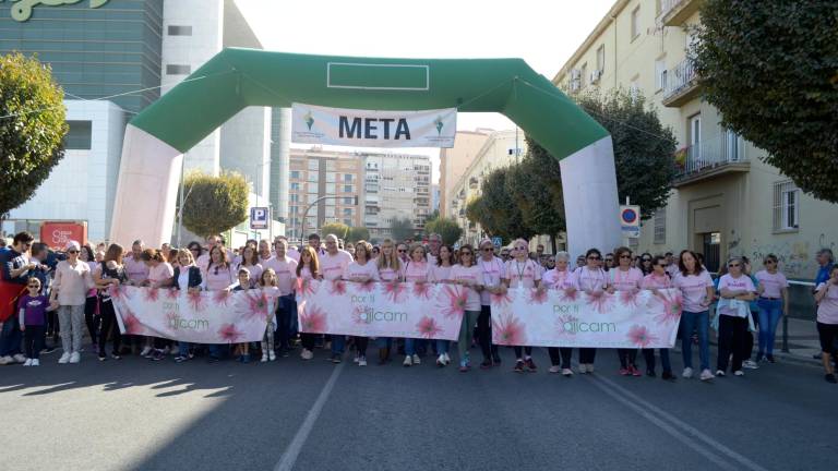La ciudad se vuelve a vestir de rosa para luchar contra el cáncer de mama La ciudad se vuelve a vestir de rosa para luchar contra el cáncer de mama