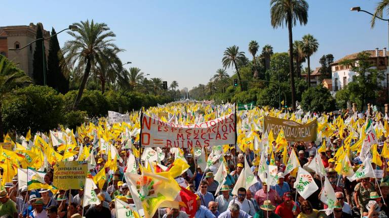 Miles de olivareros protestan por el “robo” de los bajos precios Miles de olivareros protestan por el “robo” de los bajos precios