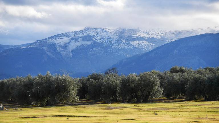 ¿Qué pasa con Jaén y el Paisaje del Olivar? ¿Qué pasa con Jaén y el Paisaje del Olivar?