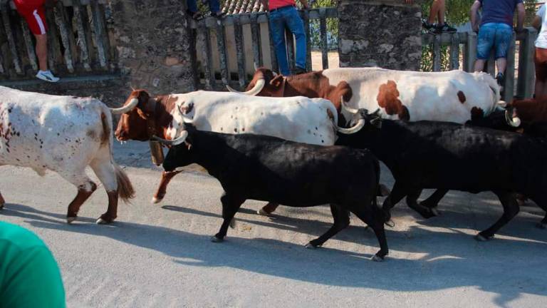 Una jornada de recortes y diversión ante el toro