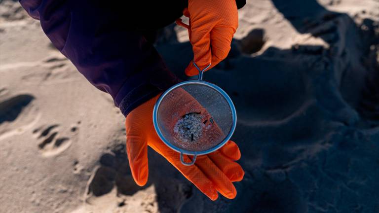 La Fiscalía investiga el vertido de ‘pellets’ en Galicia al apreciar indicios de toxicidad La Fiscalía investiga el vertido de ‘pellets’ en Galicia al apreciar indicios de toxicidad
