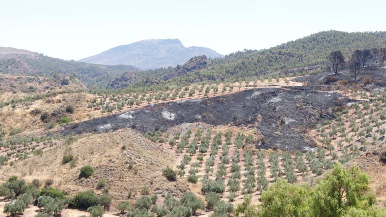 Estabilizado el incendio de Jódar Estabilizado el incendio de Jódar