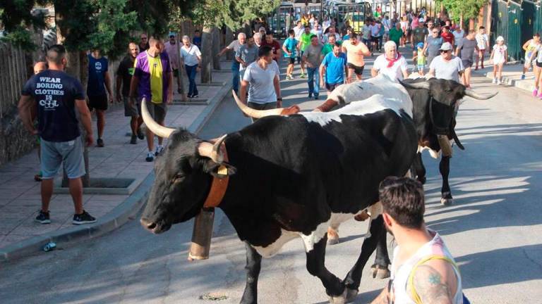 Segunda jornada de los tradicionales encierros