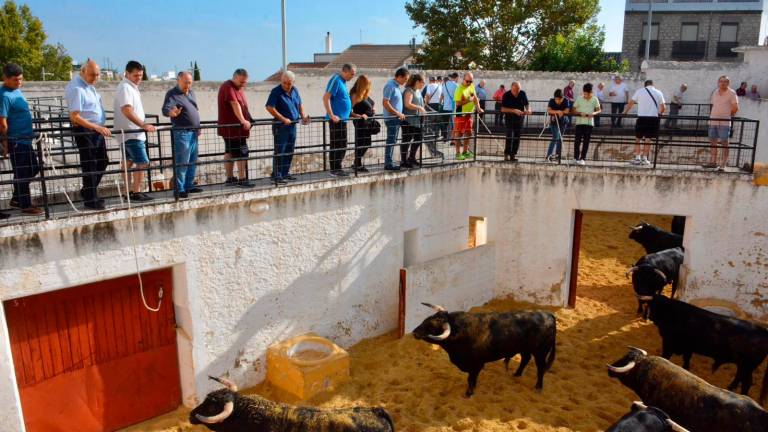Una cita para vivir la pasión taurina Una cita para vivir la pasión taurina