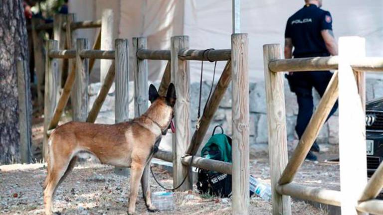 Hallan un cadáver de mujer en la zona de Cercedilla en la que buscan a Blanca Fernández Ochoa Hallan un cadáver de mujer en la zona de Cercedilla en la que buscan a Blanca Fernández Ochoa
