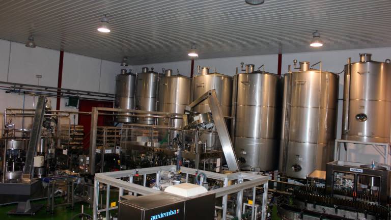 Un aceite picual de máxima calidad y de la tierra Un aceite picual de máxima calidad y de la tierra
