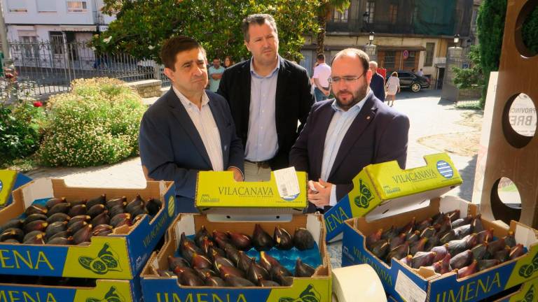 Jimena presume de brevas en mercados de diez municipios Jimena presume de brevas en mercados de diez municipios