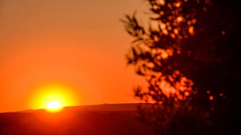 Jaén ‘arde’ en pleno mes de enero Jaén ‘arde’ en pleno mes de enero