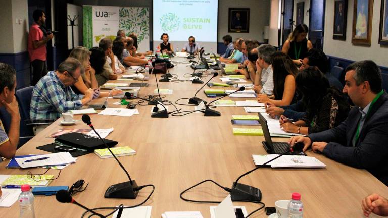 Por la mejora de la sostenibilidad en el olivar Por la mejora de la sostenibilidad en el olivar