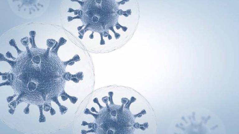 Qué es la carga viral y la importancia de los test de antígenos para detectar la covid-19 Qué es la carga viral y la importancia de los test de antígenos para detectar la covid-19