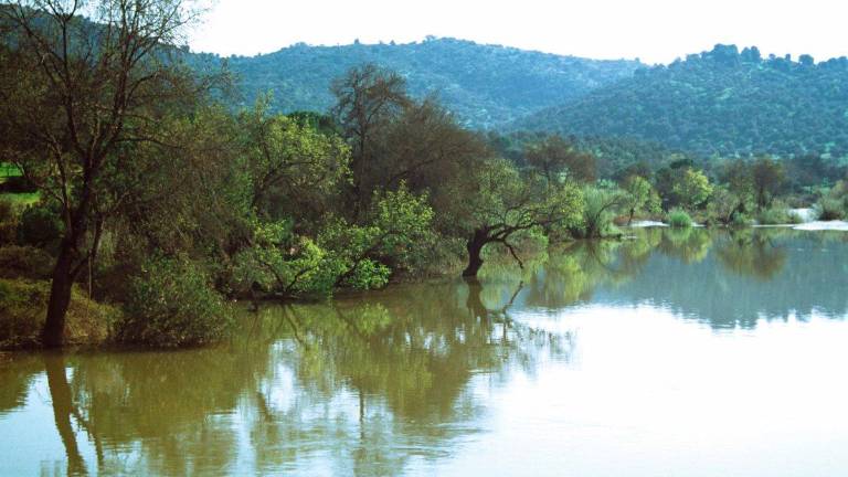 La provincia representará al segmento de interior en la Mesa del Turismo de Andalucía La provincia representará al segmento de interior en la Mesa del Turismo de Andalucía