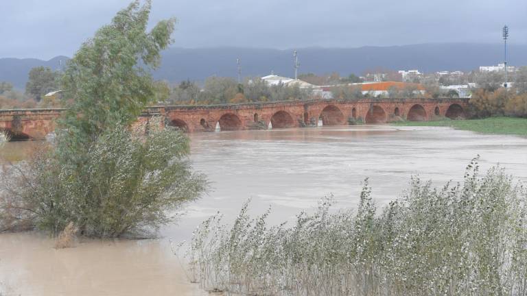 La Campiña, la comarca más damnificada por el temporal