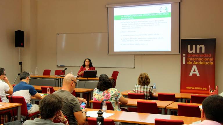 Investigación y el futuro del olivar Investigación y el futuro del olivar