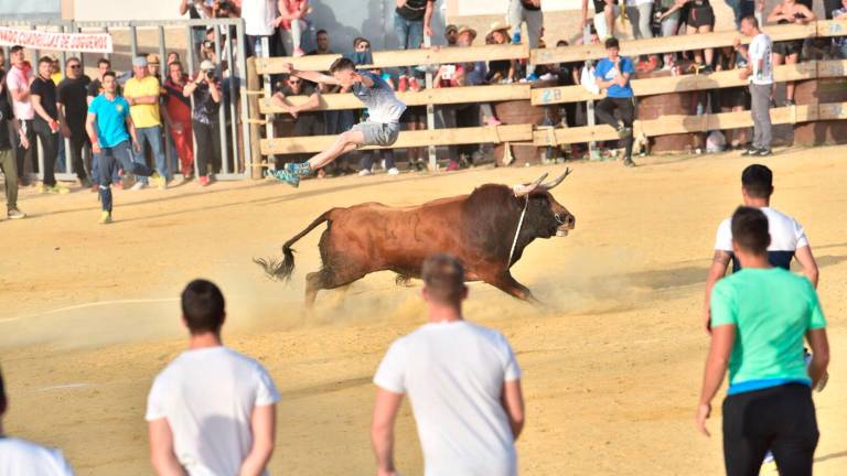 Pasión por el toro en la calle Pasión por el toro en la calle
