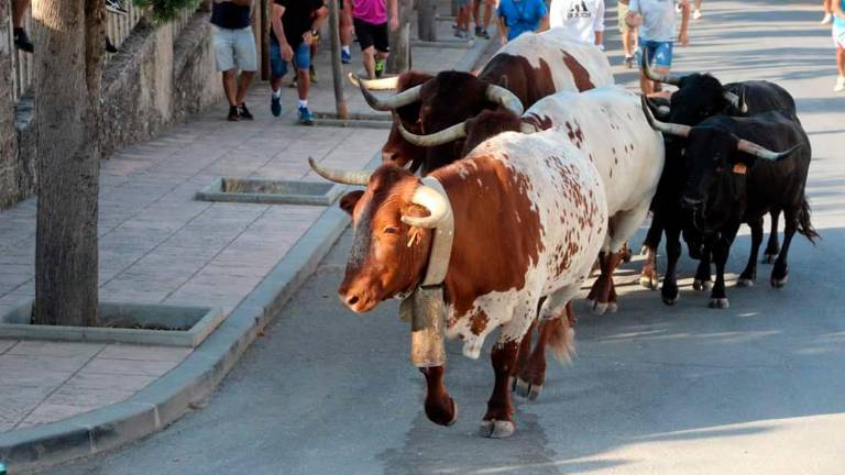 Una jornada de recortes y diversión ante el toro