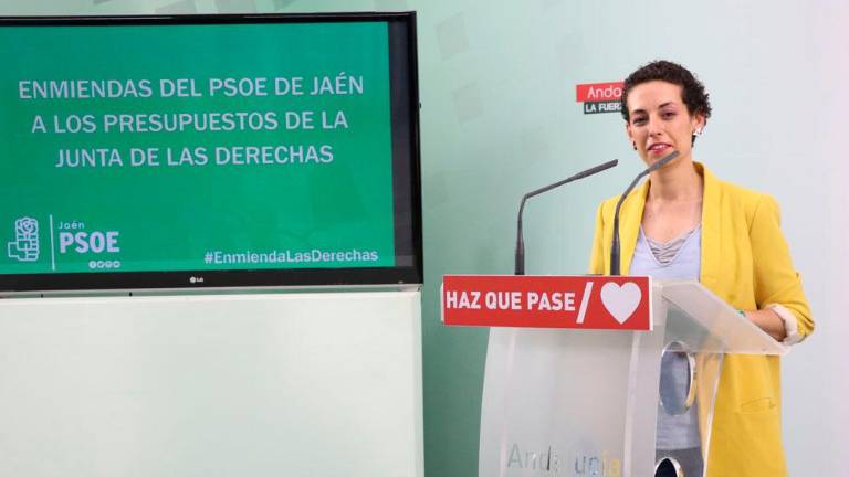 Catorce enmiendas del PSOE a las cuentas del Gobierno andaluz Catorce enmiendas del PSOE a las cuentas del Gobierno andaluz
