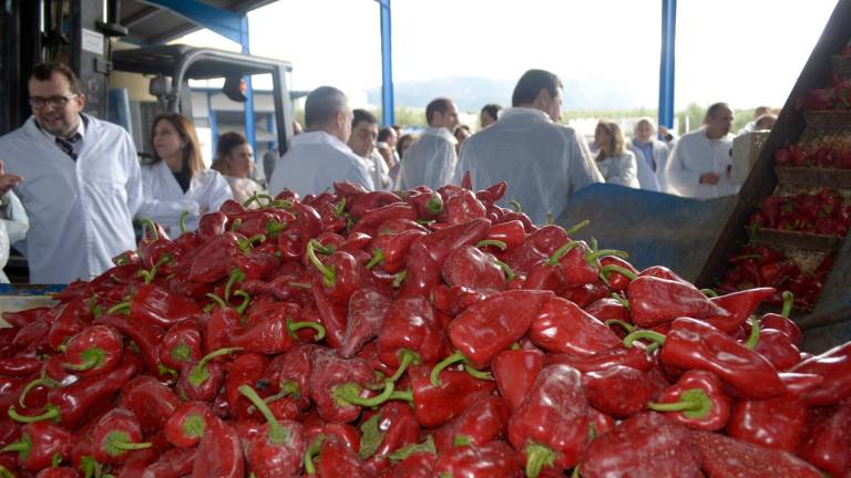 La marca Degusta Jaén se expande en Bedmar