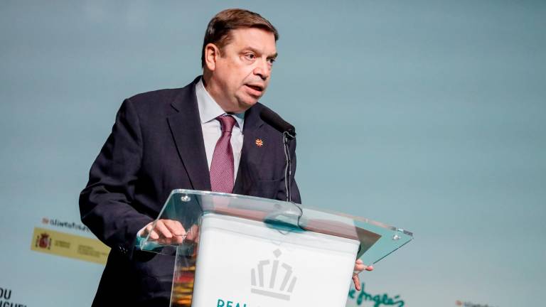 El ministro Planas advierte a los operadores: “El aceite de oliva no puede ser un producto de lujo” El ministro Planas advierte a los operadores: “El aceite de oliva no puede ser un producto de lujo”