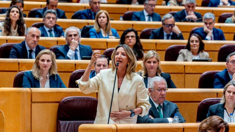 El Senado exigirá al Gobierno una investigación independiente sobre el apagón El Senado exigirá al Gobierno una investigación independiente sobre el apagón