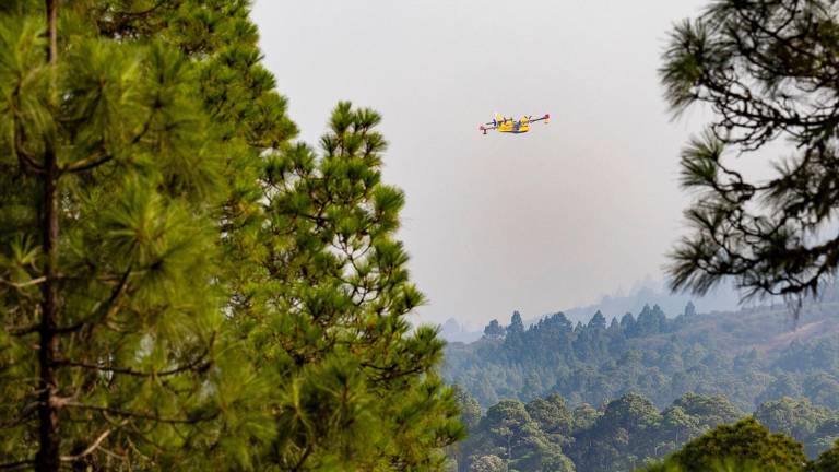 El incendio de Tenerife se mantiene estable con riesgo de reactivación de focos por altas temperaturas El incendio de Tenerife se mantiene estable con riesgo de reactivación de focos por altas temperaturas