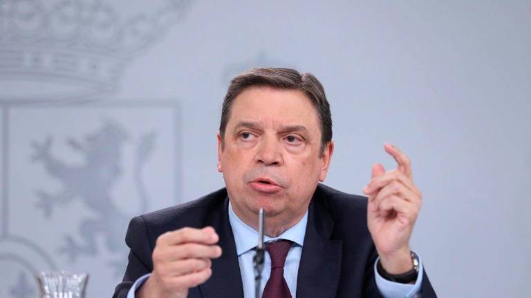 Planas tacha a los transportistas de “poco independientes” tras dudar de si hay motivos para sus protestas Planas tacha a los transportistas de “poco independientes” tras dudar de si hay motivos para sus protestas