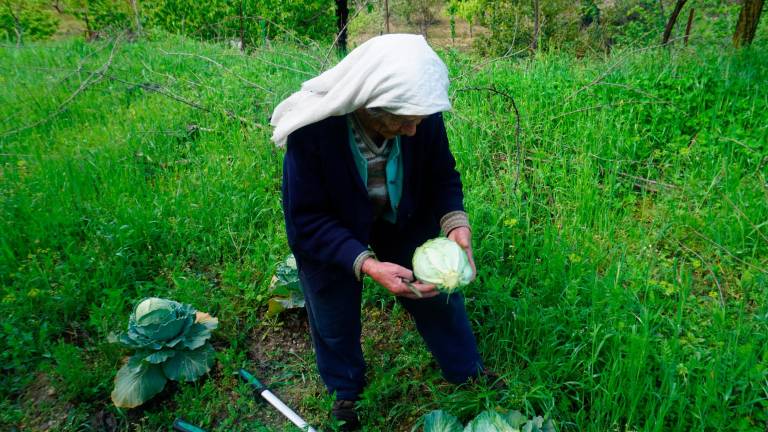 La soledad como única compañera La soledad como única compañera
