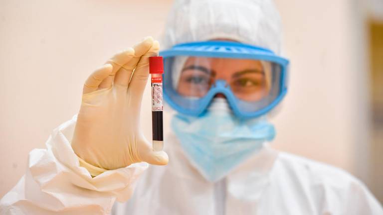 El coronavirus tarda entre 2 y 8 semanas en provocar la muerte El coronavirus tarda entre 2 y 8 semanas en provocar la muerte