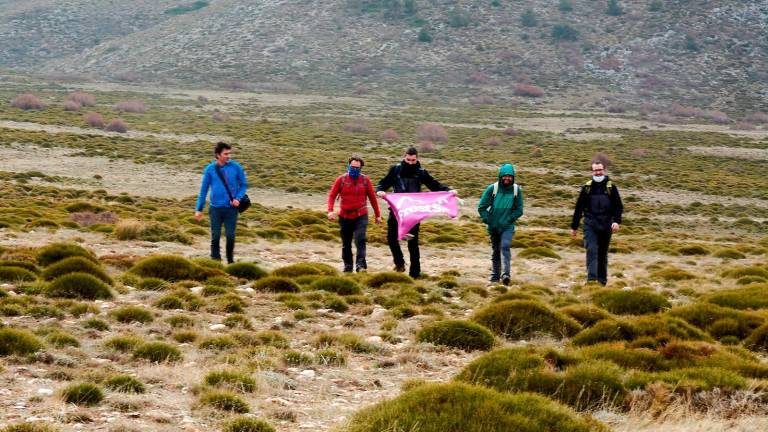 El día que Nava de los Troncos registró el récord de frío del sur de España El día que Nava de los Troncos registró el récord de frío del sur de España