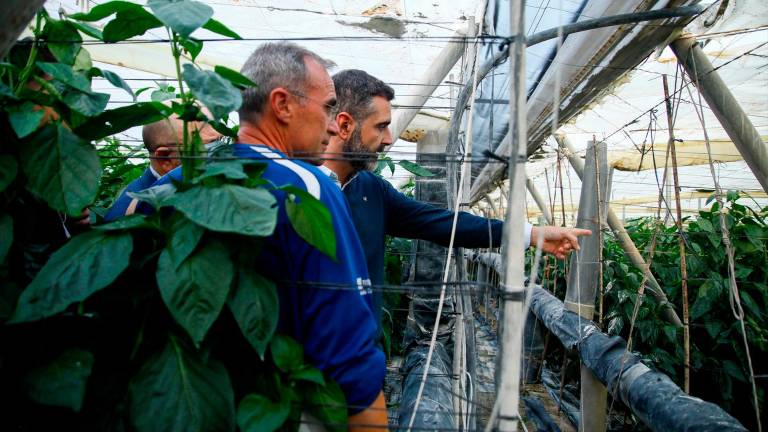 La Junta ayudará “en lo que haga falta” a los agricultores afectados por el temporal La Junta ayudará “en lo que haga falta” a los agricultores afectados por el temporal