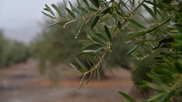 Remite la lluvia en Jaén desde esta madrugada del miércoles Remite la lluvia en Jaén desde esta madrugada del miércoles