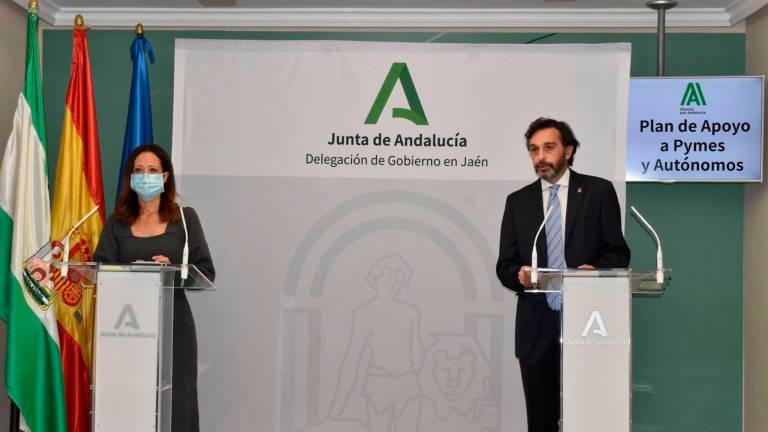 Lozano destaca el “gran esfuerzo” con ayudas destinadas a pymes y autónomos Lozano destaca el “gran esfuerzo” con ayudas destinadas a pymes y autónomos