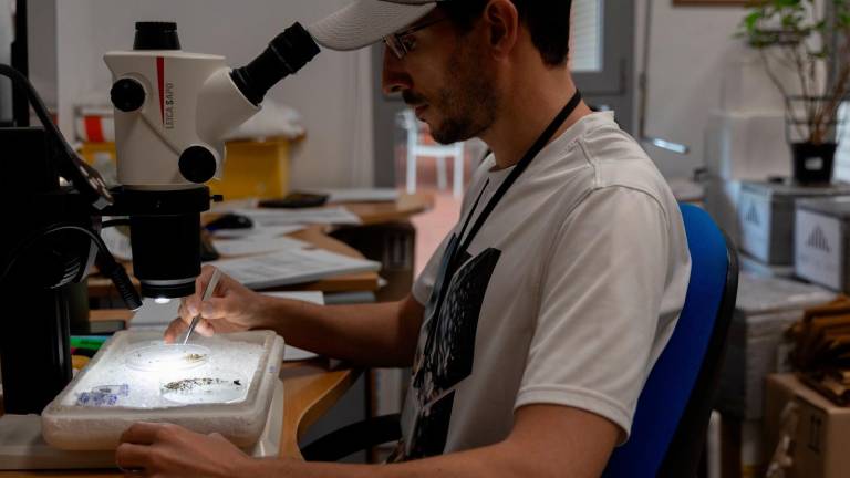 Torredonjimeno activa un plan ante el riesgo medio por Fiebre del Nilo Torredonjimeno activa un plan ante el riesgo medio por Fiebre del Nilo